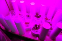 科学部2
