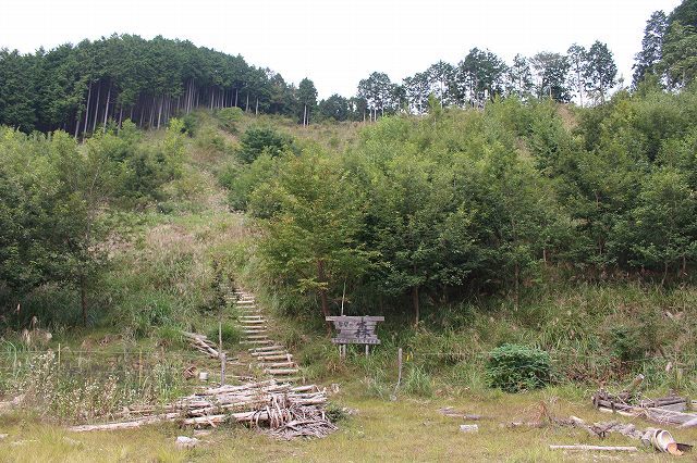 森林環境活動の画像