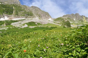 夏山（穂高）