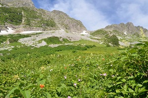 夏山（穂高）