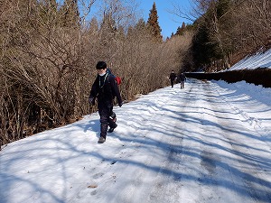 雪に覆われた車道