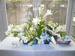 11イースター ユリの花
