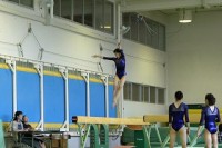 学総体入間_体操部 (2)