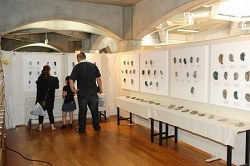 展示2