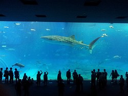 高2 沖縄研修旅行　1日目