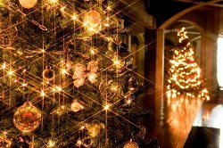 クリスマス点灯式を行いました