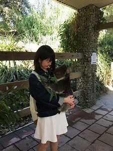 オーストラリア短期留学