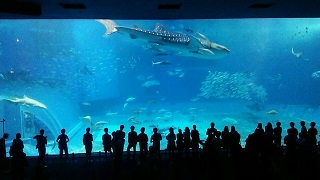 高2研修旅行報告