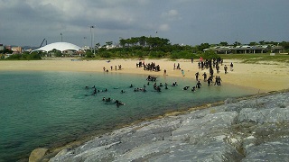 研修旅行4日目 (2)