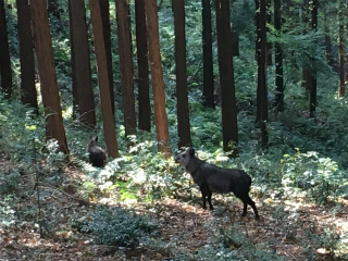 中学エコツアー (1)