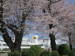 2022年度　新年度スタート！！受験生用イベント日程更新しました。
